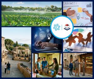 Bandi 2026 della CCIAA Maremma e Tirreno