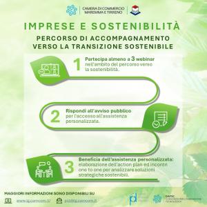 Imprese e Sostenibilità: percorso di accompagnamento verso la transizione sostenibile