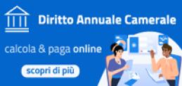 Diritto Annuale