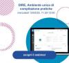 Webinar su DIRE