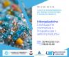 L'immagine presenta una grafica pulita con toni azzurri e bianchi, accompagnata da una foto di piccoli frammenti di plastica colorata. In calce sono presenti i loghi della Camera di Commercio Maremma e Tirreno, del Laboratorio Chimico CCIAA Torino e del Portale Etichettatura e Sicurezza Prodotti.